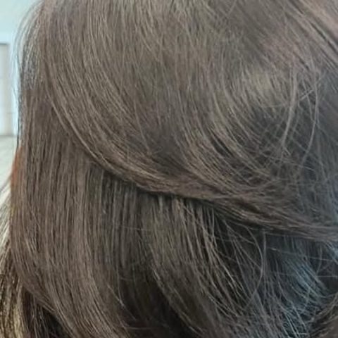 Stock — gallery-6